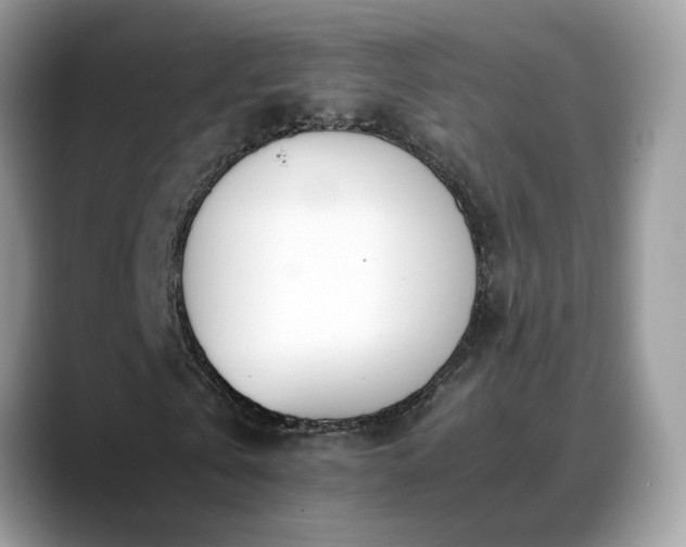 X0000088680769200706071425