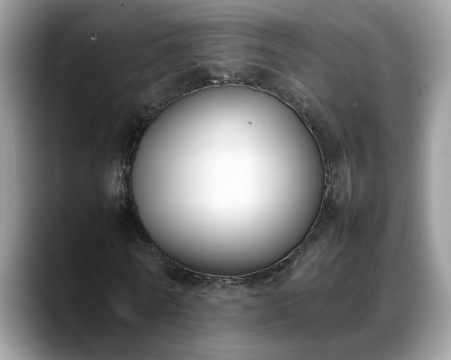 X0000088680770200706071425
