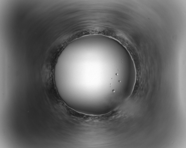 X0000088680773200706071425