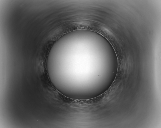 X0000088680774200706071425