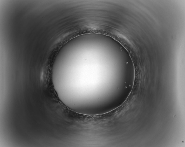 X0000088680776200706071425