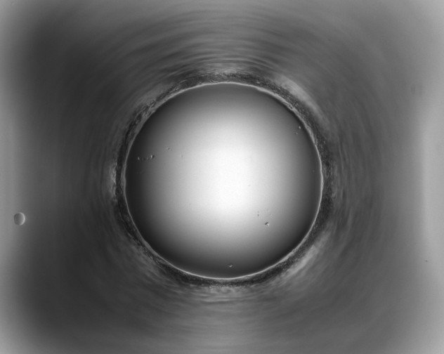 X0000088680777200706071425