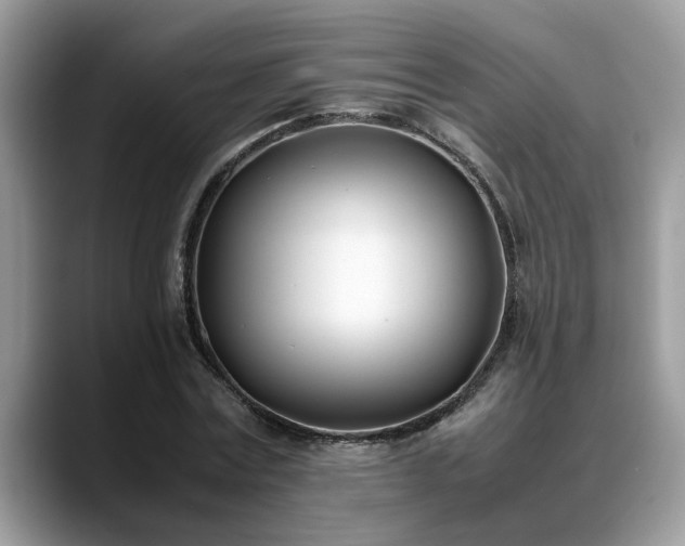 X0000088680779200706071425