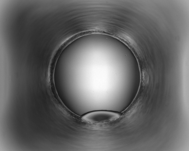 X0000088680780200706071425