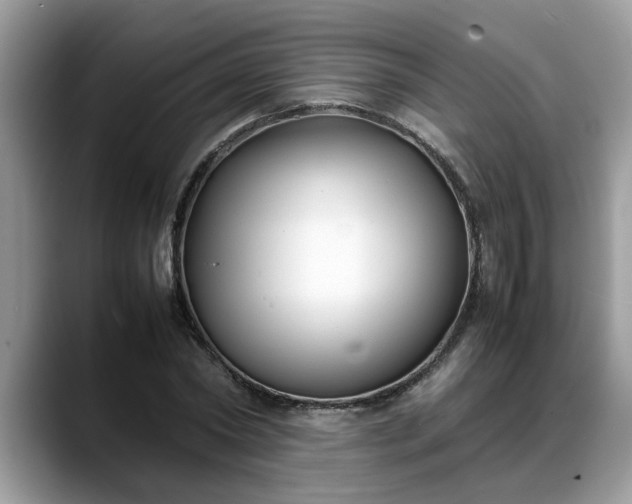 X0000088680782200706071425