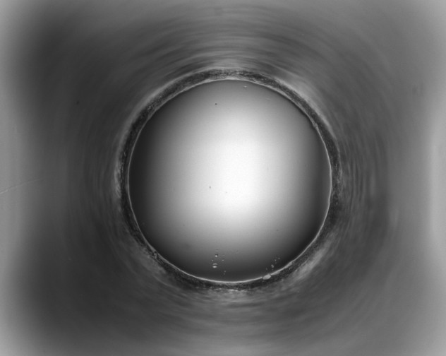 X0000088680783200706071425