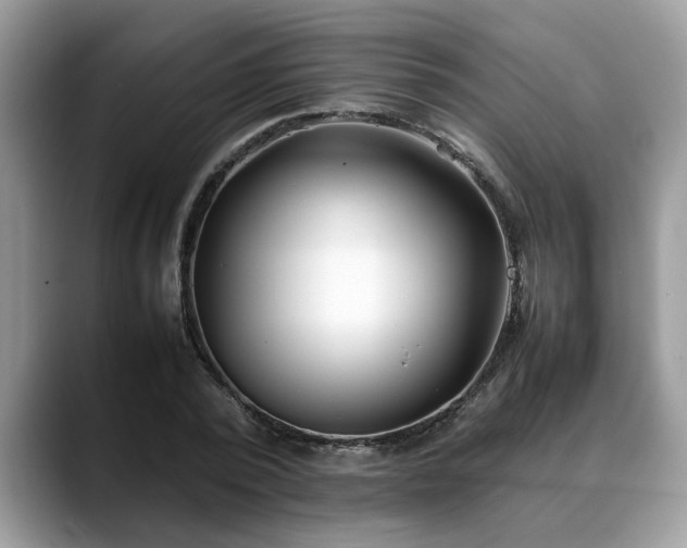 X0000088680784200706071425