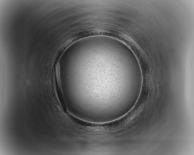 X0000088680785200706071425