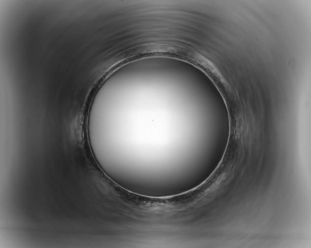 X0000088680786200706071425