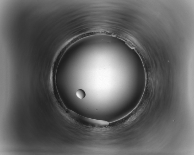 X0000088680788200706071425