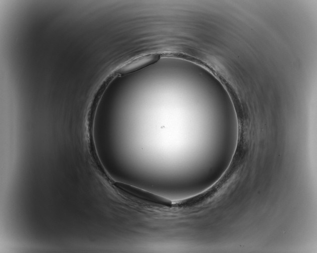 X0000088680789200706071425