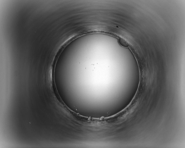 X0000088680790200706071425