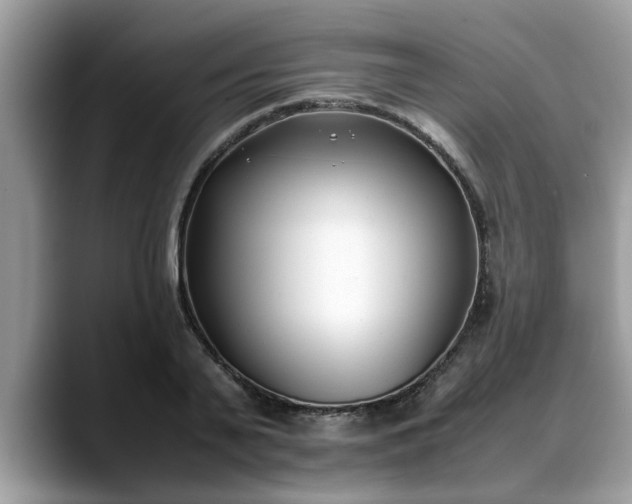 X0000088680791200706071425