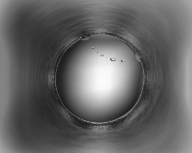 X0000088680793200706071425