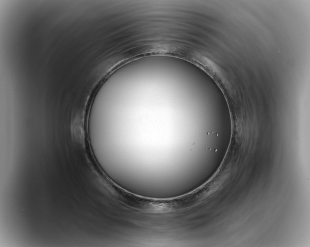 X0000088680794200706071425