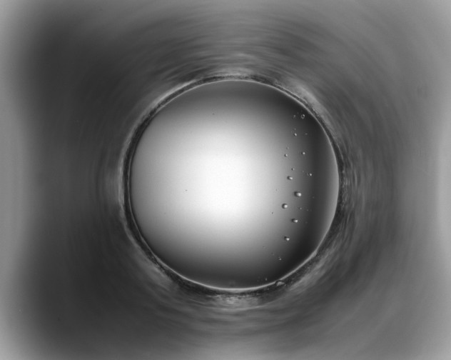 X0000088680795200706071425
