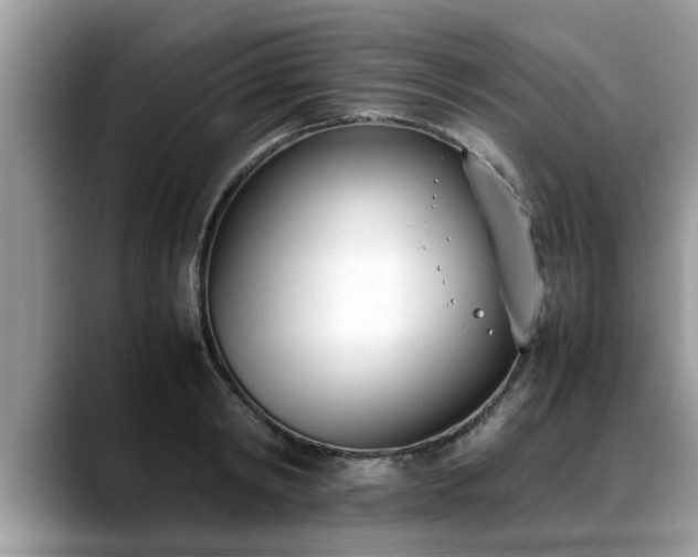 X0000088680798200706071425