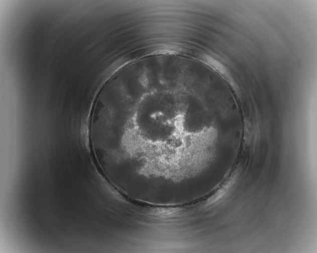 X0000088680802200706071425