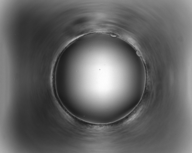 X0000088680803200706071425