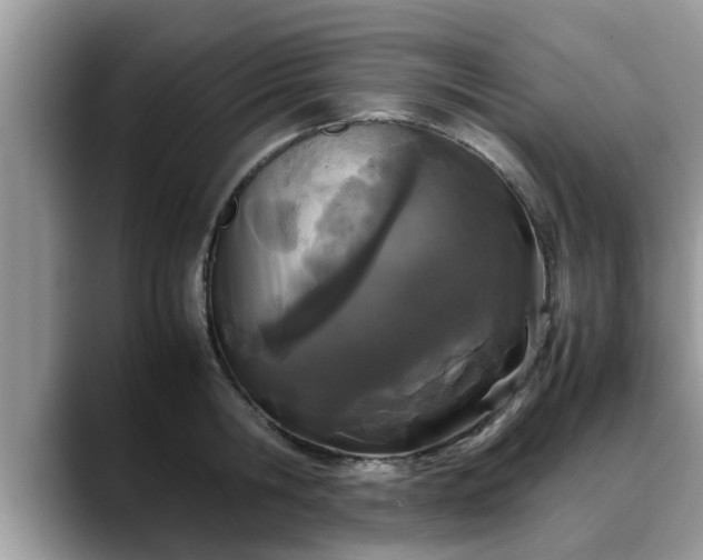 X0000088680806200706071425