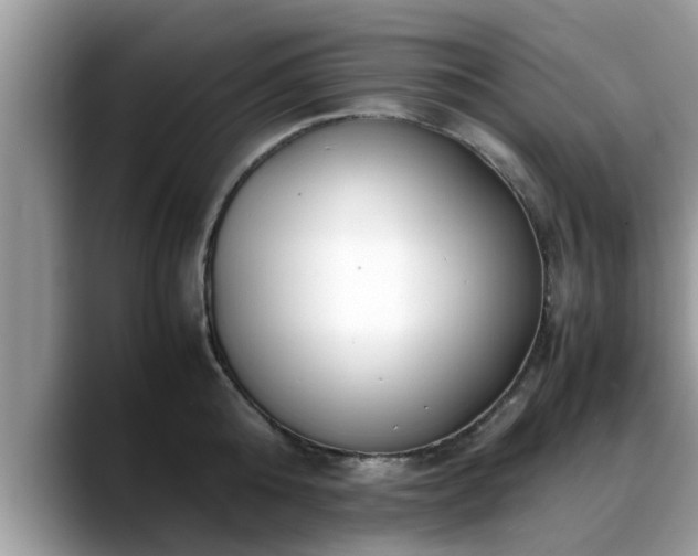 X0000088680808200706071425