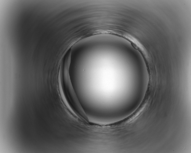 X0000088680809200706071425