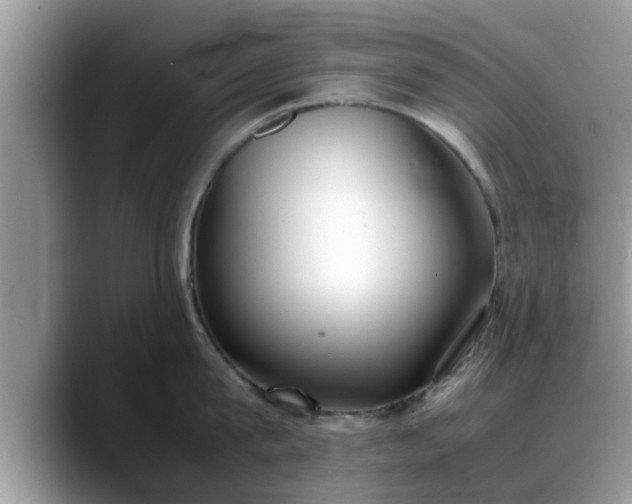 X0000088680815200706071425
