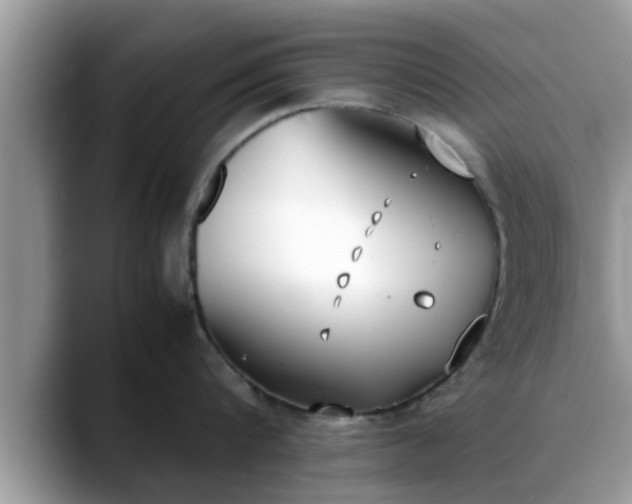 X0000088680816200706071425