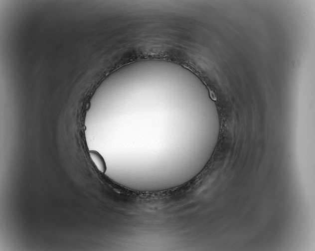 X0000088680817200706071424
