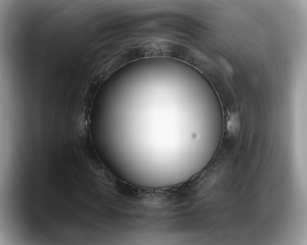 X0000088680819200706071424