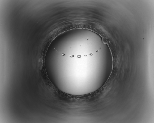 X0000088680821200706071424