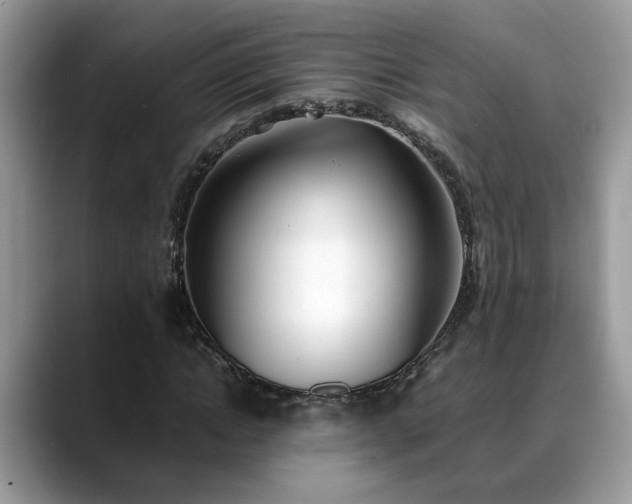 X0000088680822200706071424