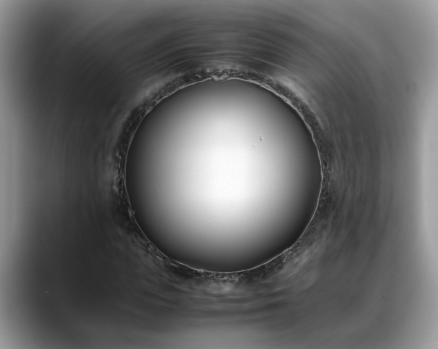 X0000088680823200706071424
