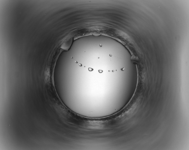 X0000088680825200706071424