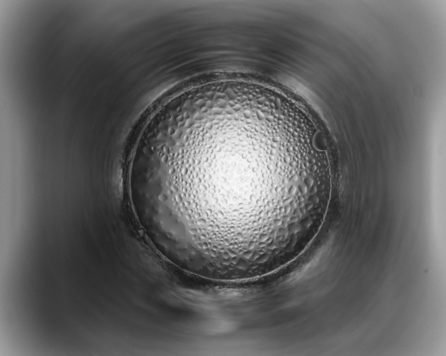 X0000088680829200706071424