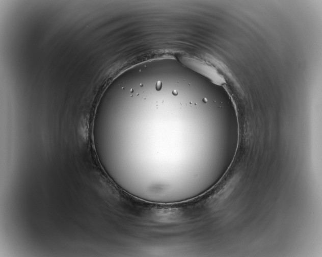 X0000088680833200706071424