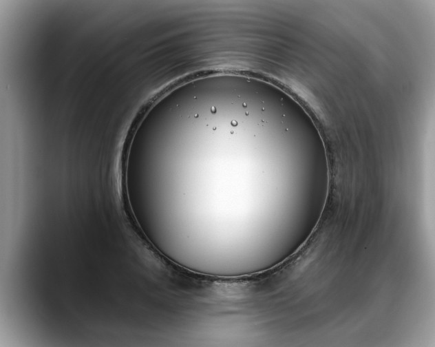 X0000088680840200706071424