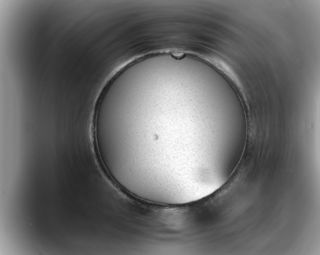 X0000088680847200706071424