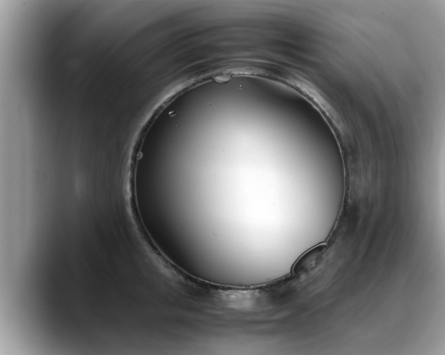 X0000088680853200706071425