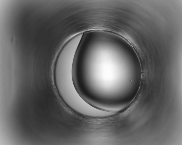 X0000088680854200706071425