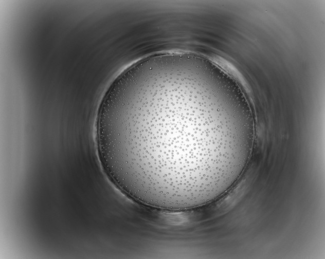X0000088680855200706071425