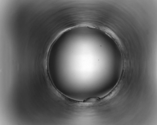 X0000088680860200706071425