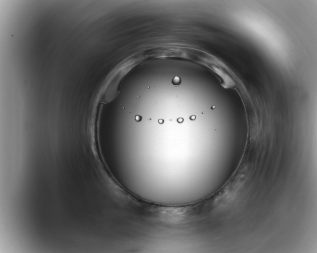 X0000088680861200706071425