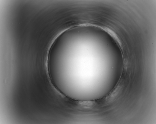 X0000088680863200706071425