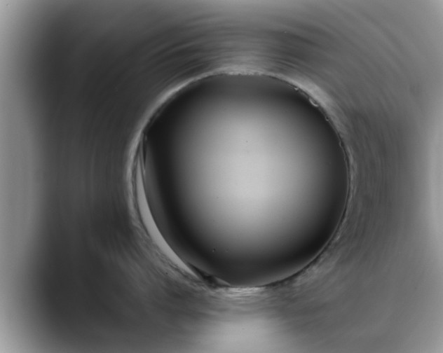 X0000088680864200706071425