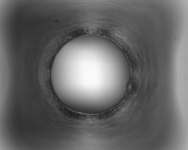 X0000088680865200706071424