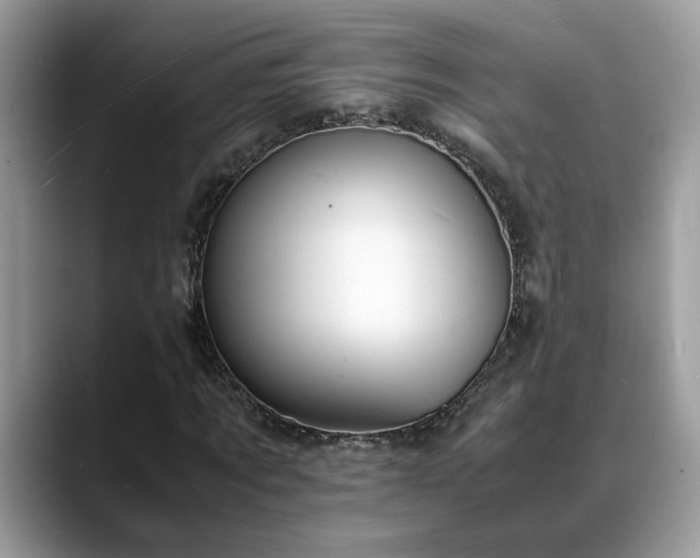 X0000088680869200706071424
