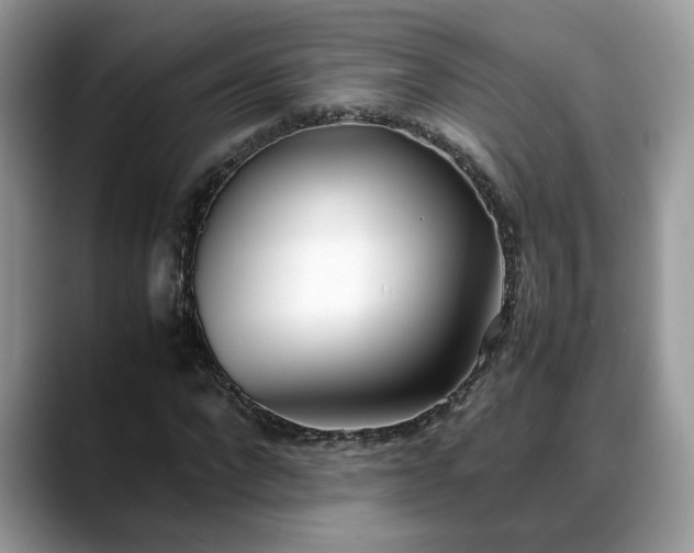 X0000088680872200706071424