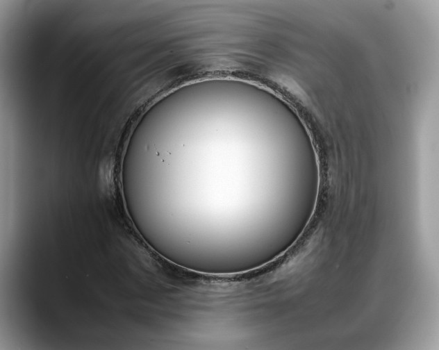 X0000088680873200706071424