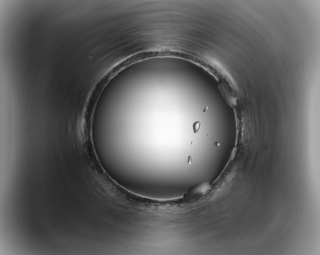 X0000088680876200706071424